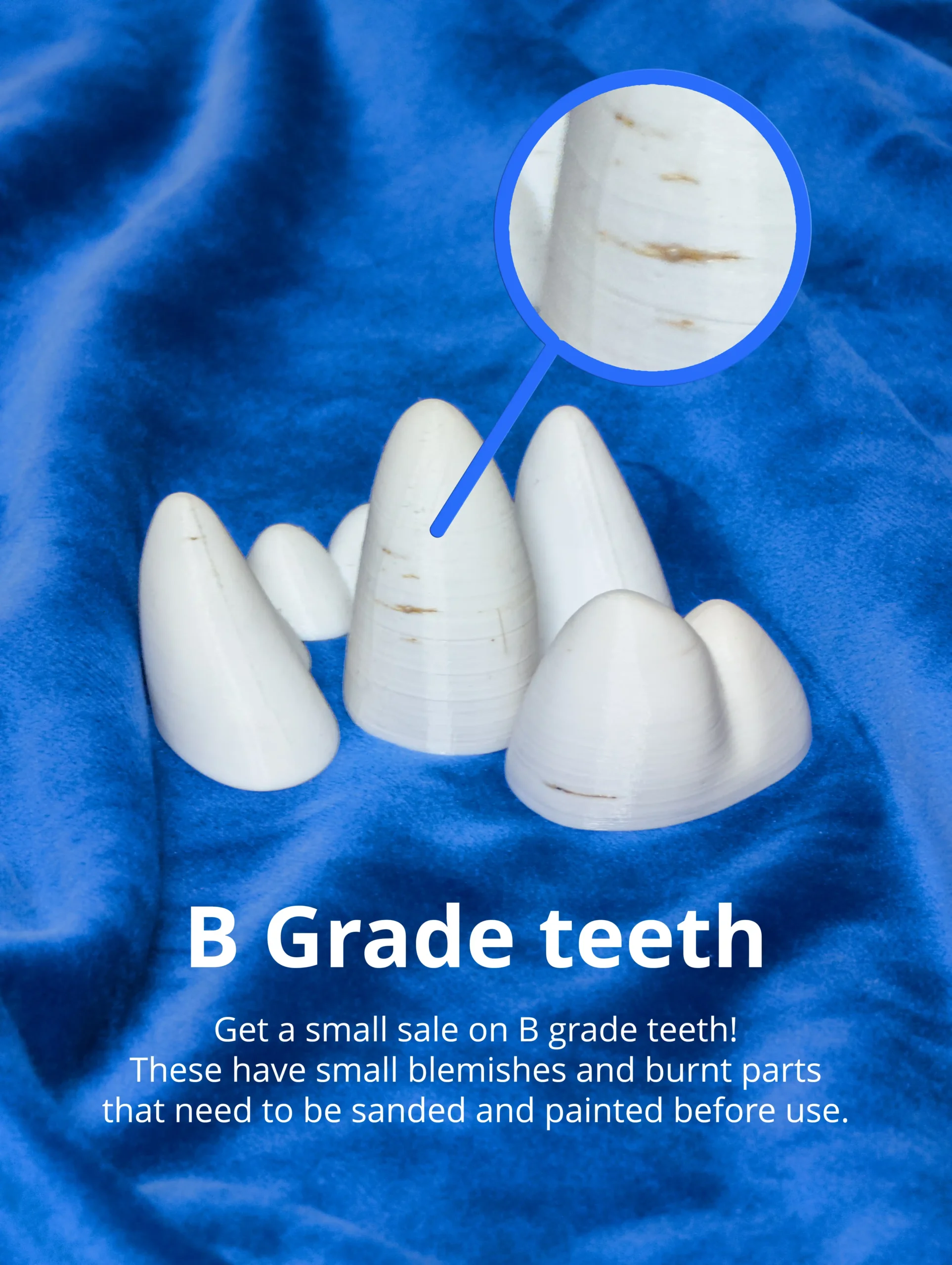 Large teeth set for canine base - Image 10